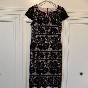 Like New Eliza J Lace Cocktail Dress- Size 6